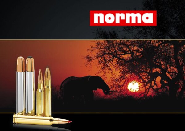 Norma / Vulkan .30-06 SP / 11,7 g / 180 grs